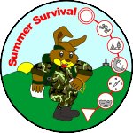 Summer Survival