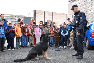 Ukázka výcviku policejních psů