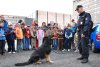 Ukázka výcviku policejních psů